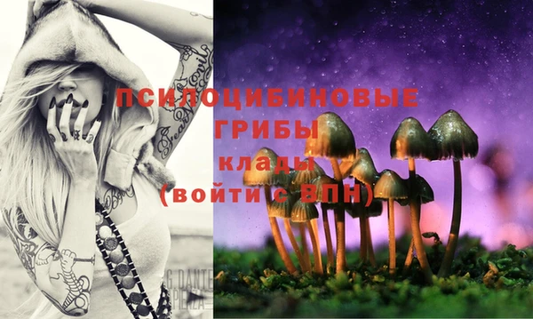 MDMA Premium VHQ Куйбышев