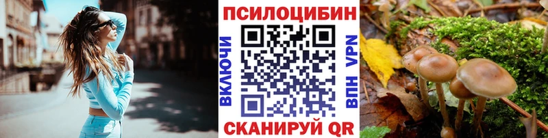 Галлюциногенные грибы Psilocybe  mega как войти  Уржум 